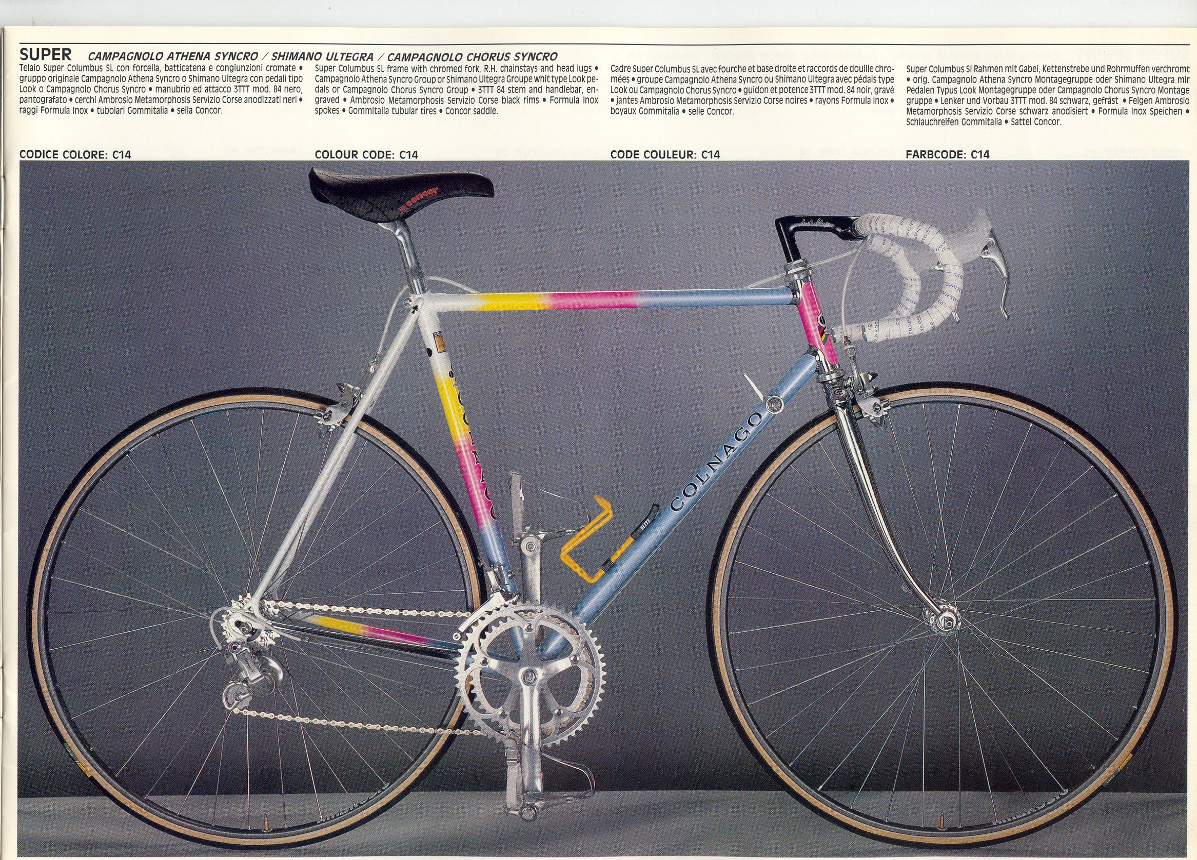 Rossin Girls trade advertising A4 colour poster Colnago Campagnolo Super Record 